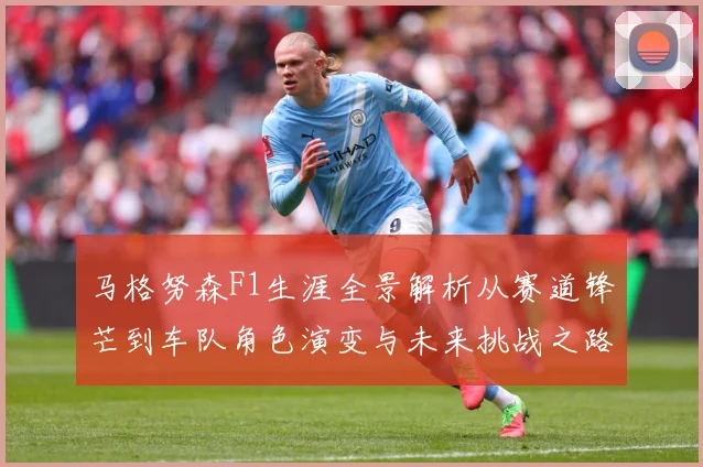马格努森F1生涯全景解析从赛道锋芒到车队角色演变与未来挑战之路
