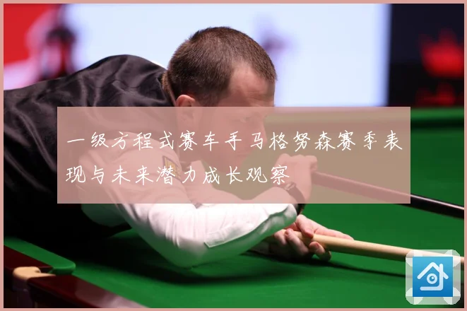 一级方程式赛车手马格努森赛季表现与未来潜力成长观察