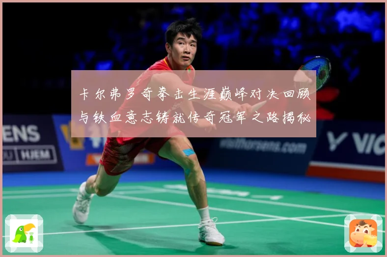 卡尔弗罗奇拳击生涯巅峰对决回顾与铁血意志铸就传奇冠军之路揭秘