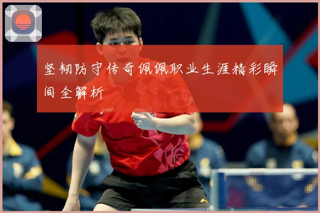 坚韧防守传奇佩佩职业生涯精彩瞬间全解析