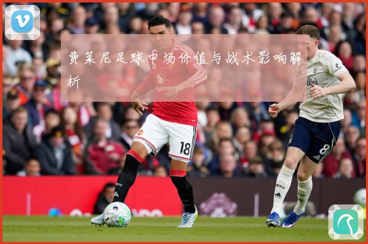 费莱尼足球中场价值与战术影响解析
