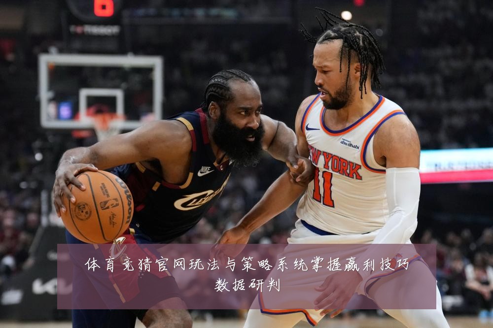 体育竞猜官网玩法与策略系统掌握赢利技巧数据研判